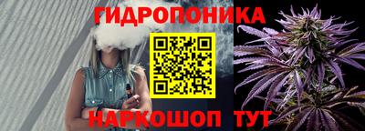 стафф Анжеро-Судженск