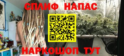 стафф Анжеро-Судженск